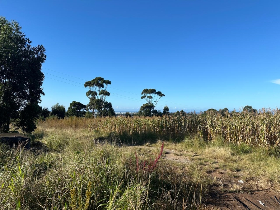 Commercial Property for Sale in Graceland Eastern Cape